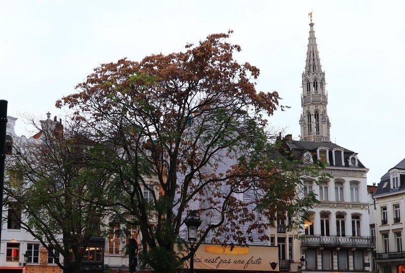 比利时布鲁塞尔