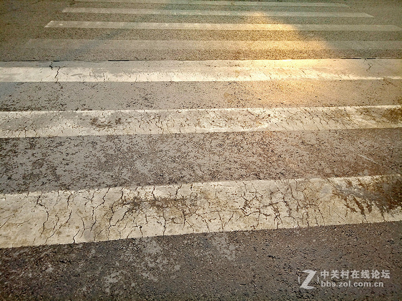 ＃魅蓝5S试用＃把生活拍成诗  魅蓝5S拍照效果测试