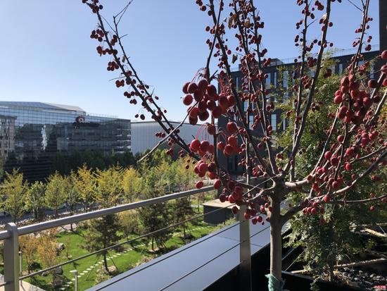 苹果iPhone X国行版评测：用真正黑科技革新未来