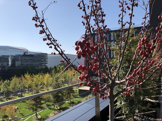 苹果iPhone X国行版评测：用真正黑科技革新未来