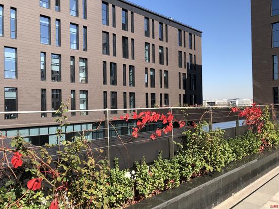 苹果iPhone X国行版评测：用真正黑科技革新未来