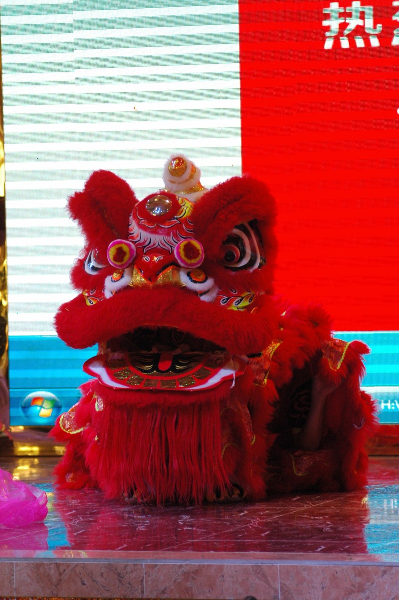 醒狮-中关村在线摄影论坛