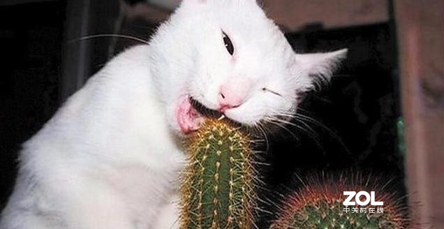 如果卖火柴的小女孩有一个暖手宝，故事结局会不会是另一个版本？