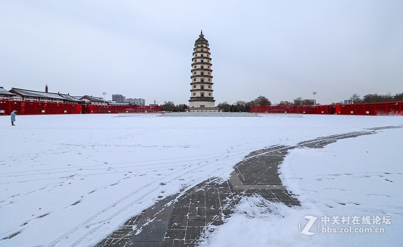 雪后随拍