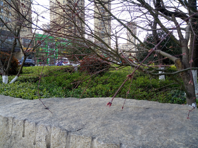 【抢饭碗第3季】震惊！“金玉其外，______！” 十天体验揭开魅蓝5s真相！