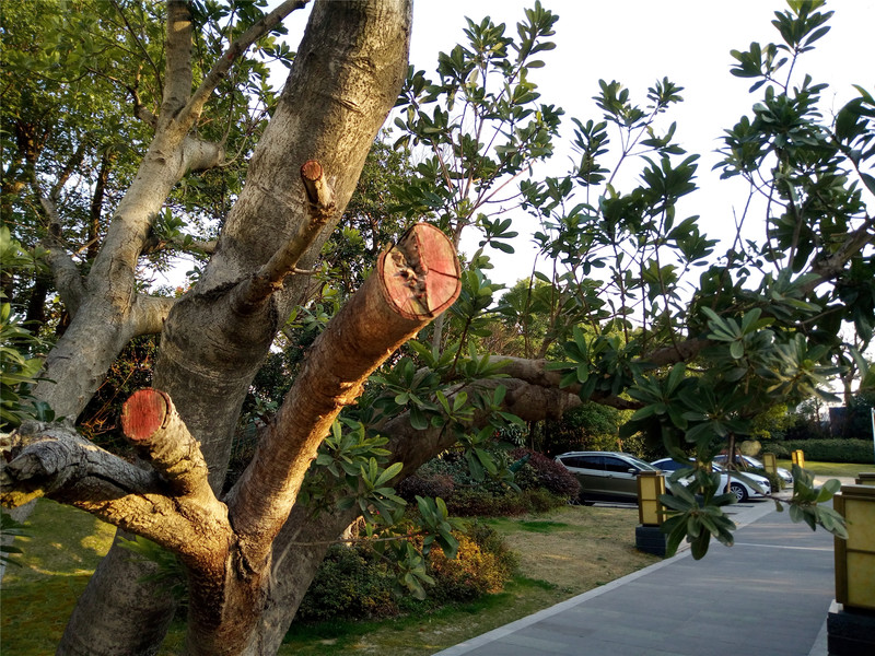 【抢饭碗第3季】震惊！“金玉其外，______！” 十天体验揭开魅蓝5s真相！