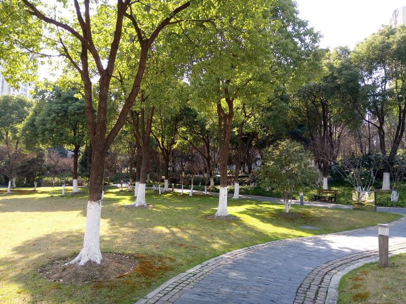 【抢饭碗第3季】震惊！“金玉其外，______！” 十天体验揭开魅蓝5s真相！