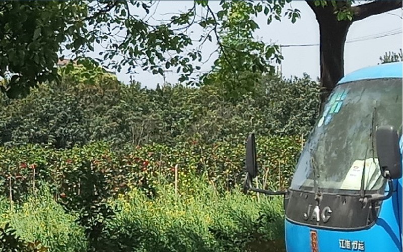 闲来无事用X和金立S10各拍一张做一下比对