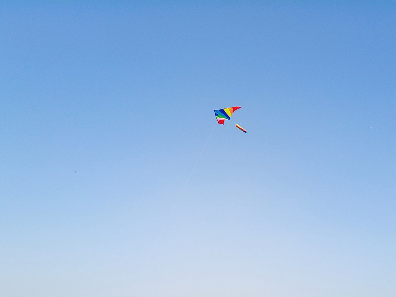 【抢饭碗第3季】震惊！“金玉其外，______！” 十天体验揭开魅蓝5s真相！