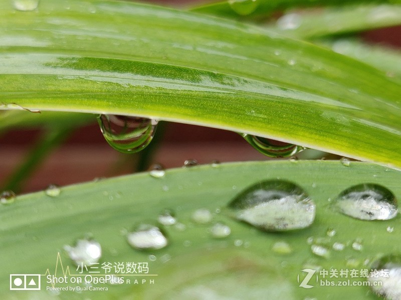 【小三爷出品】西装暴徒、性能怪兽-一加6T全面评测（含对比）