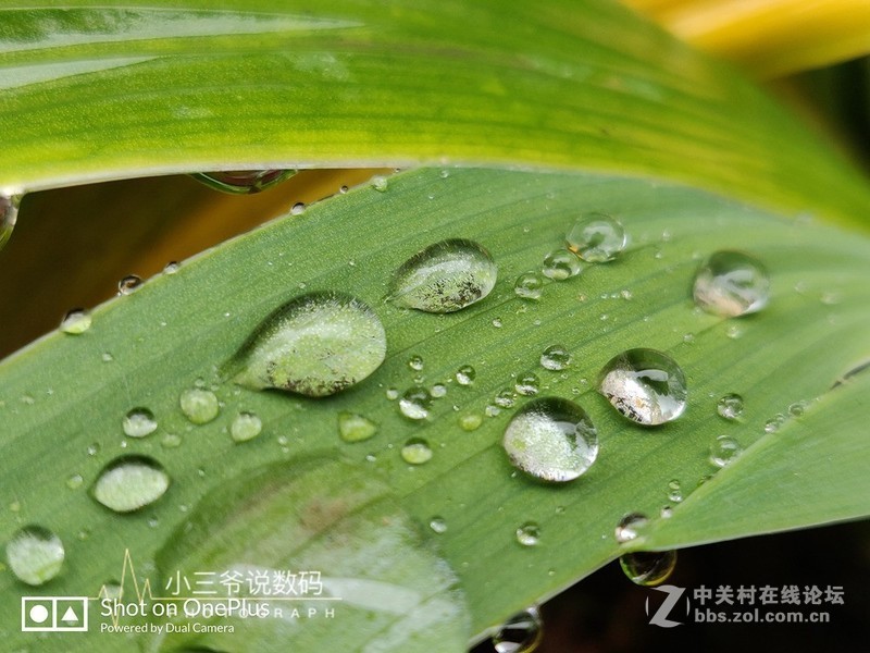 【小三爷出品】西装暴徒、性能怪兽-一加6T全面评测（含对比）