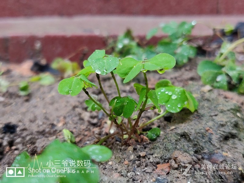 【小三爷出品】西装暴徒、性能怪兽-一加6T全面评测（含对比）