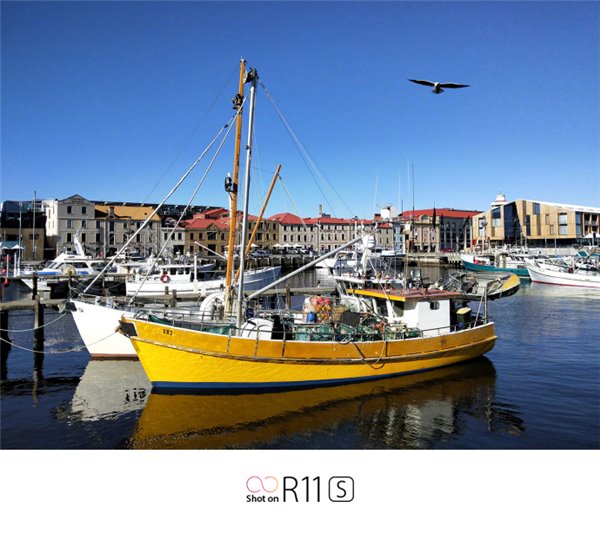 下午见分晓！全新拍照手机OPPO R11s曝光汇总