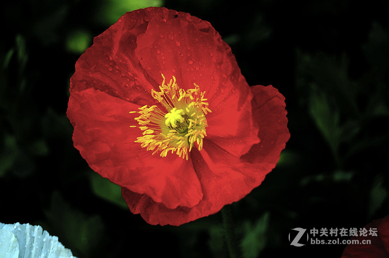 美人流泪为哪斑？