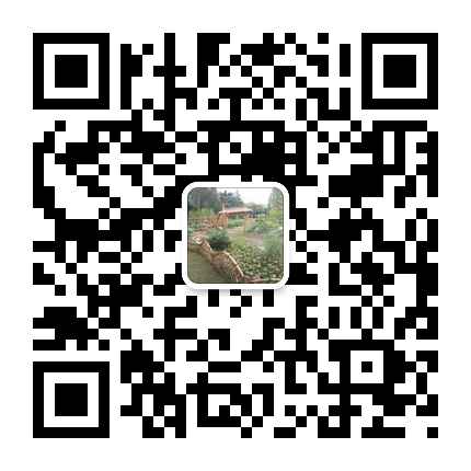 漫猫M8 一部懂生活的云投影手机