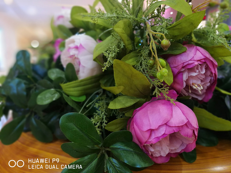 手机的拍照能满足多少要求