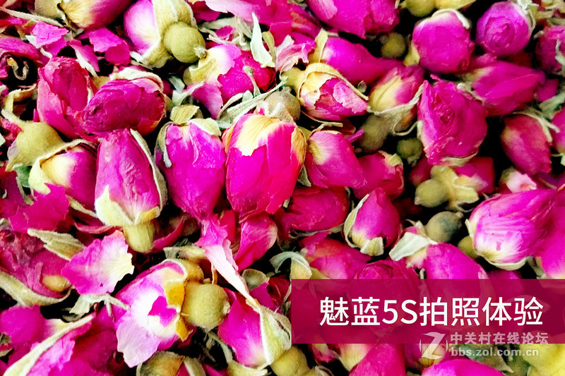 ＃魅蓝5S试用＃把生活拍成诗  魅蓝5S拍照效果测试