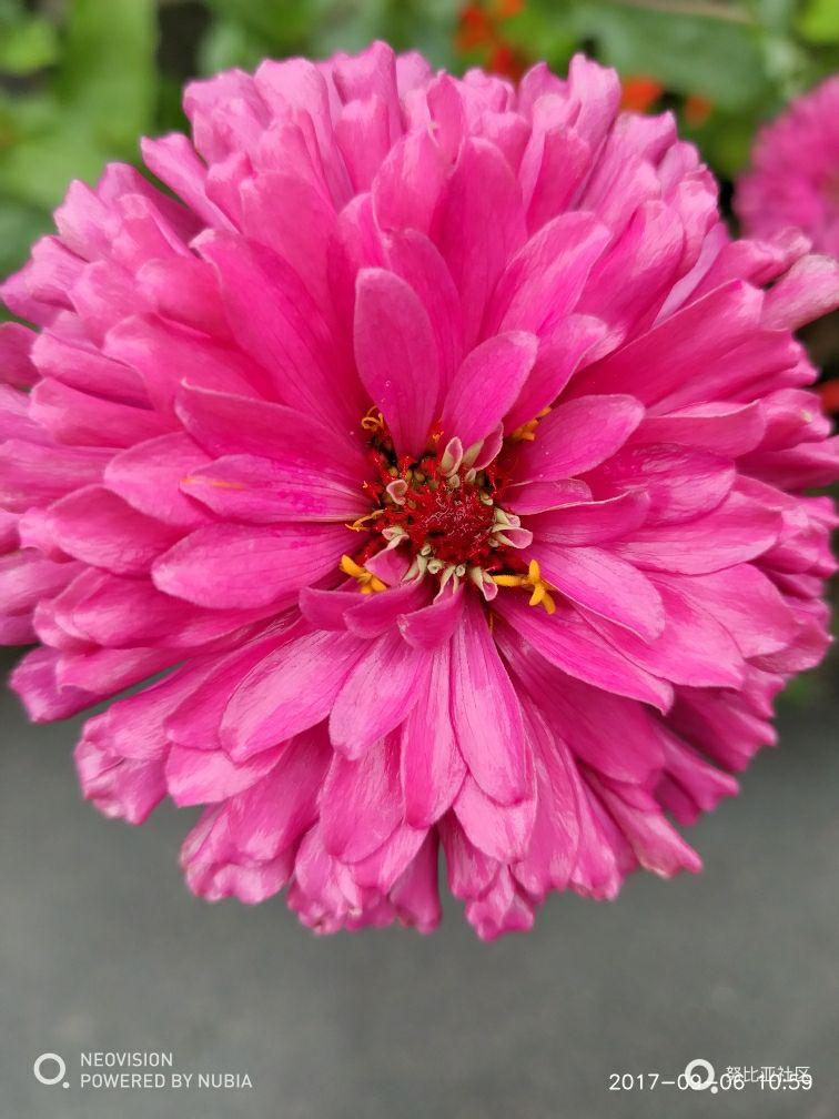 外婆家～蒙蒙细雨随手拍。