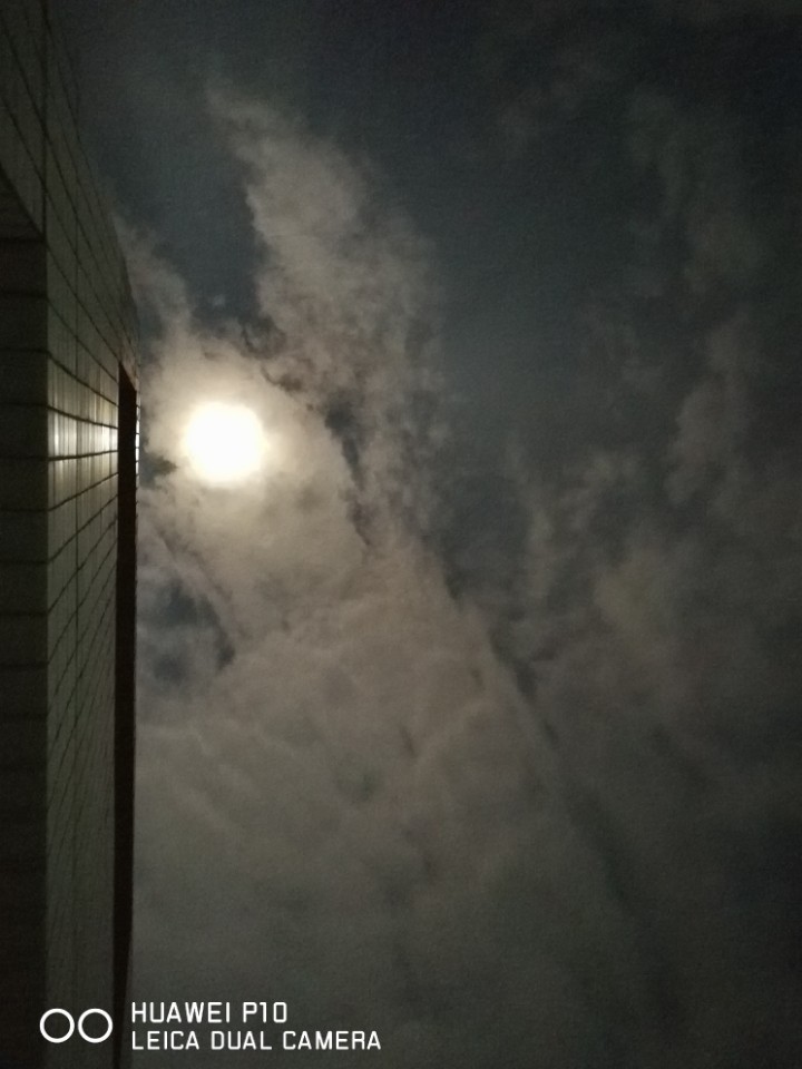 今夜的月光分外皎洁