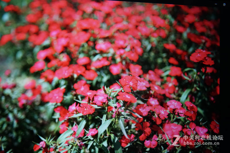 原笔迹手写平板-VOYO VBOOK V1体验小记