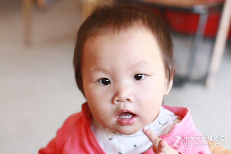 给上杭乡下老房东的家人留个影