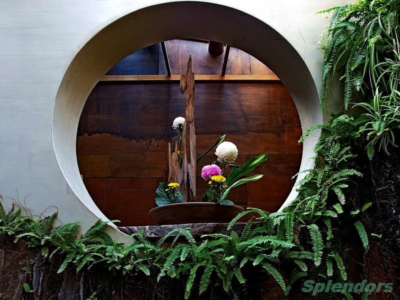 Menu-Less 餐馆 (用餐景观篇),