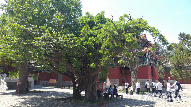 是手机更是究极娱乐终端，LG G5“寻声觅影”