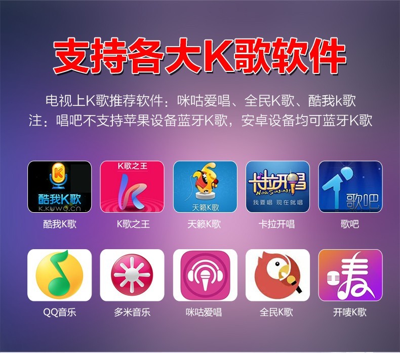 麦巢W5无线麦克风音响套装