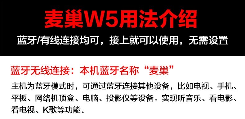 麦巢W5无线麦克风音响套装