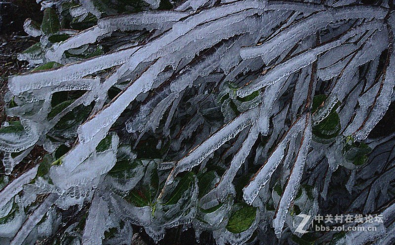新年贴：祝各位新年快乐