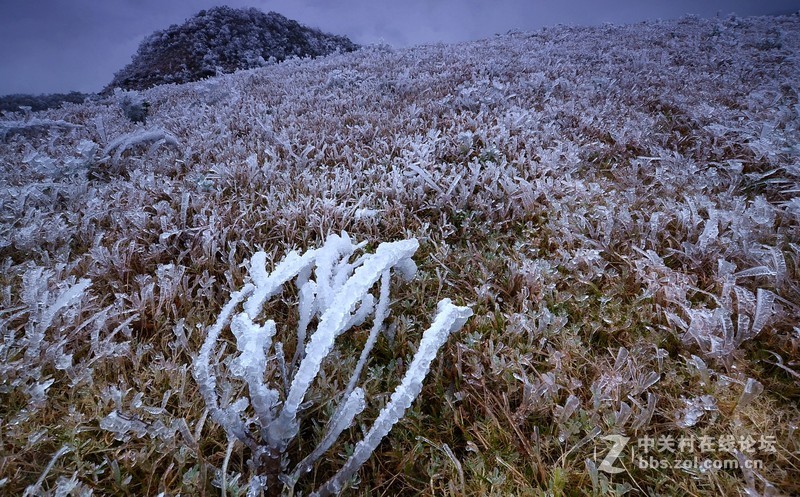 新年贴：祝各位新年快乐