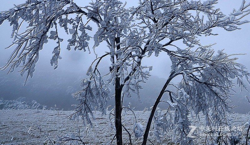 新年贴：祝各位新年快乐
