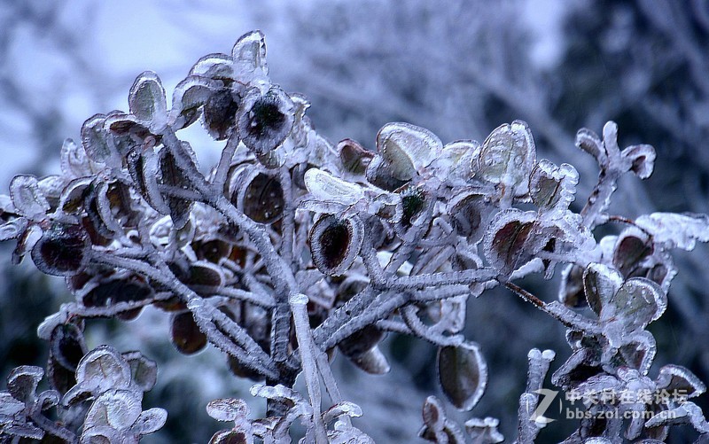 新年贴：祝各位新年快乐