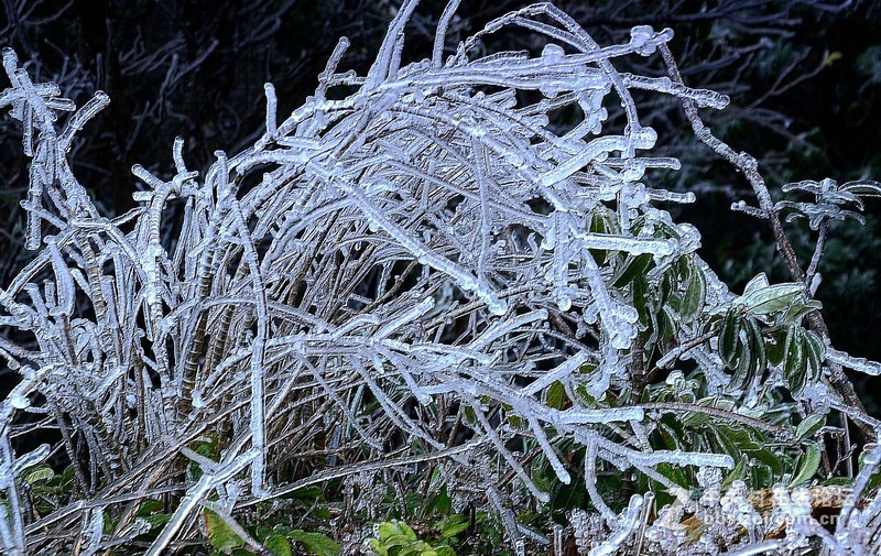 新年贴：祝各位新年快乐