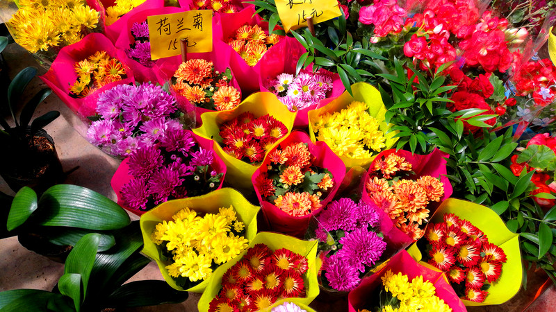 魅特8拍照还凑合