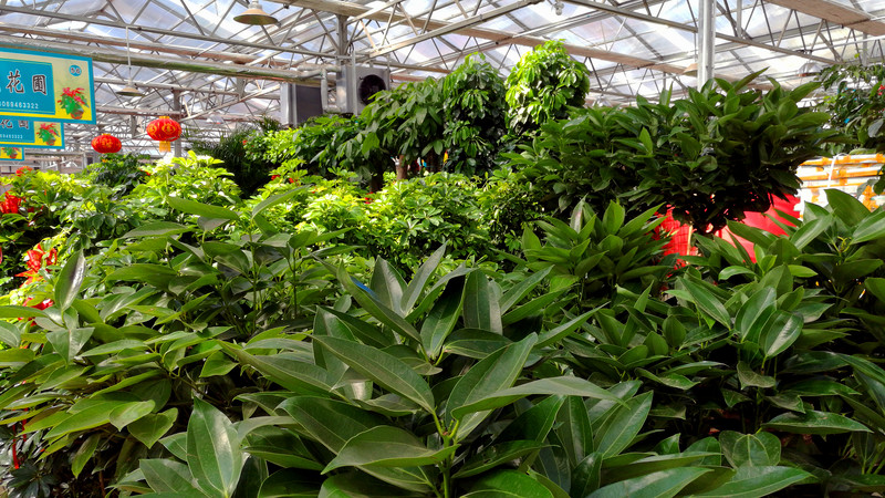 魅特8拍照还凑合