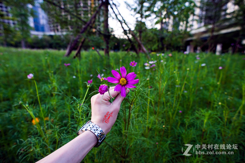 20老頭來幾張！