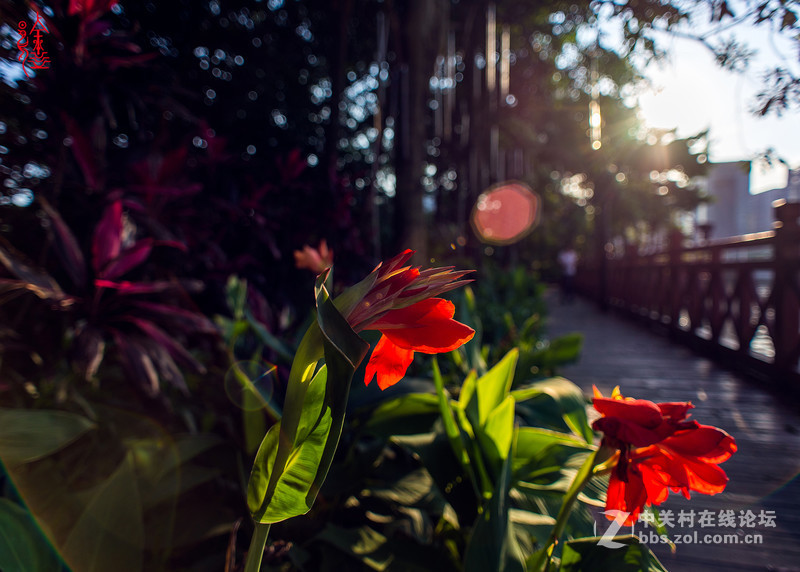 20老頭來幾張！