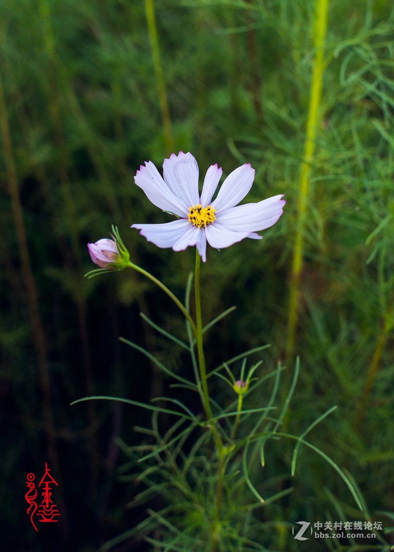 20老頭來幾張！