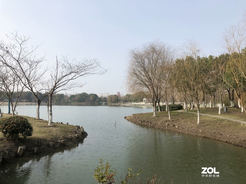 iphonex 日常 拍照样张