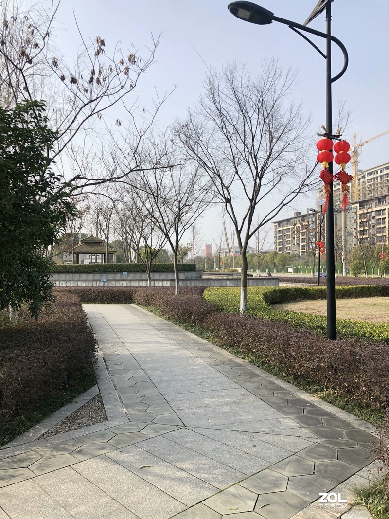 iphonex 日常 拍照样张