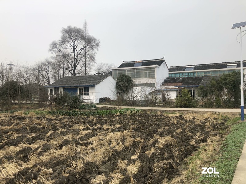 iphonex 日常 拍照样张