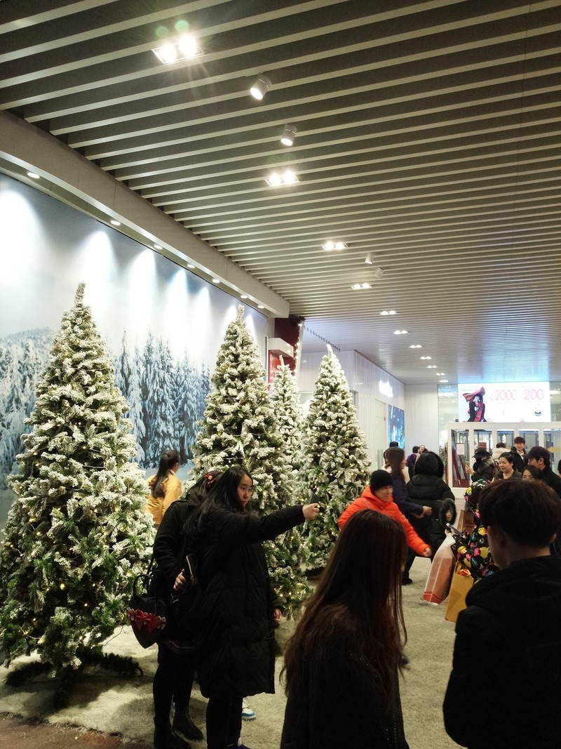 【电影级虚化，夜间自拍更好看】我能说什么，我也很绝望！