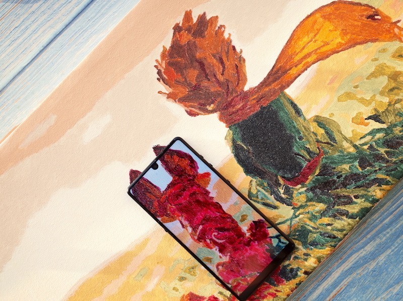 13图 坚果R1的日常，一个不小心就走出了文艺范儿