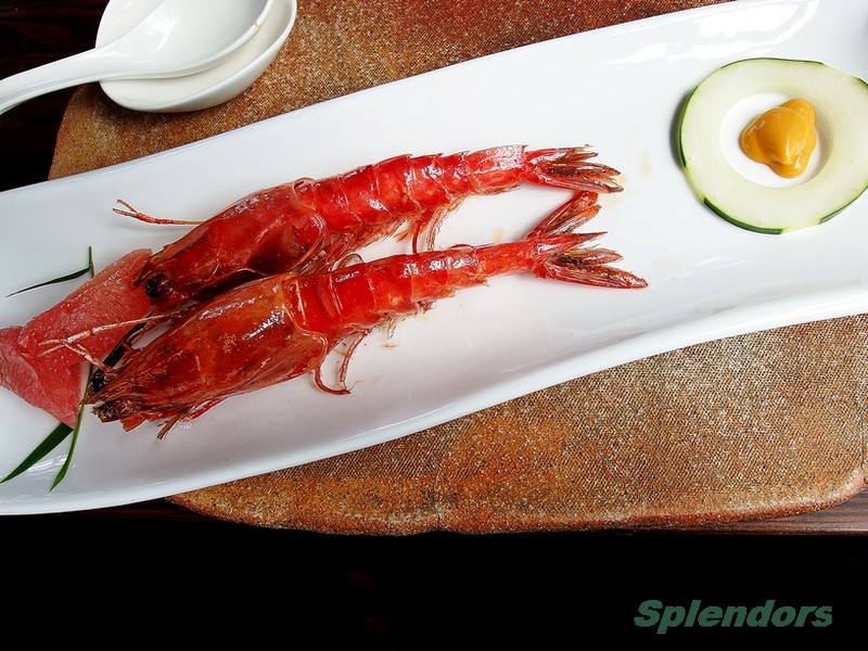 Menu-Less 餐馆 (用餐篇),