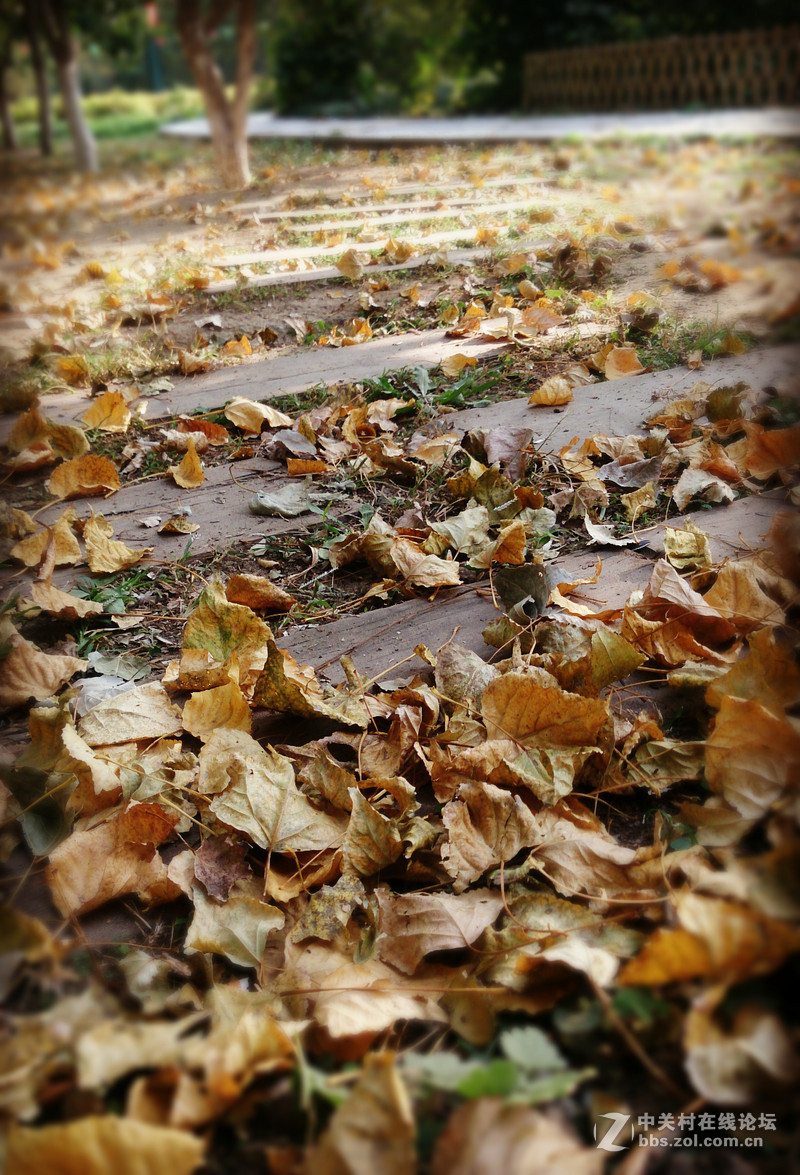 10月北京。已入秋......