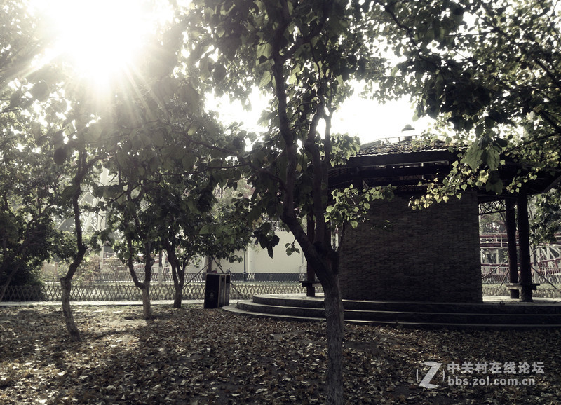 10月北京。已入秋......