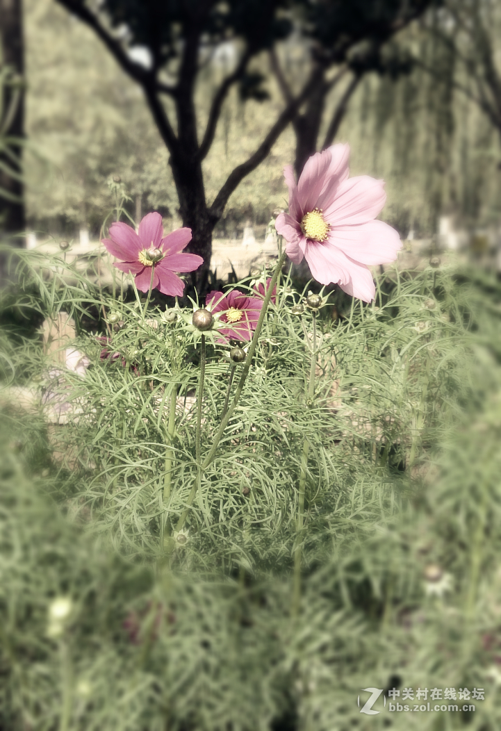 10月北京。已入秋......