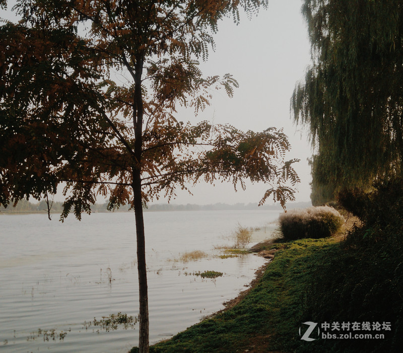 10月北京。已入秋......