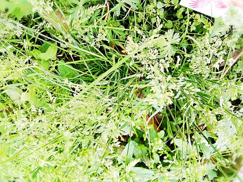 摄影集blingblingж